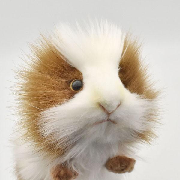 BH3735 テンジクネズミ HANSA　てんじくねずみ 天竺鼠 ぬいぐるみ リアル | HANSA（ぬいぐるみ） | 03