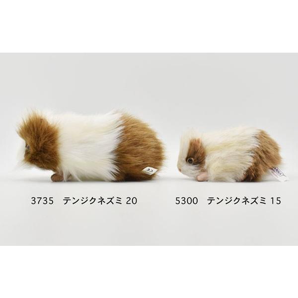 BH3735 テンジクネズミ HANSA　てんじくねずみ 天竺鼠 ぬいぐるみ リアル | HANSA（ぬいぐるみ） | 08