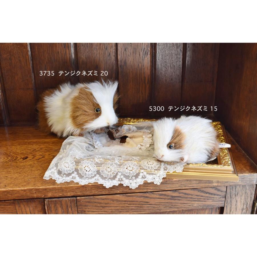 BH3735 テンジクネズミ HANSA　てんじくねずみ 天竺鼠 ぬいぐるみ リアル | HANSA（ぬいぐるみ） | 09