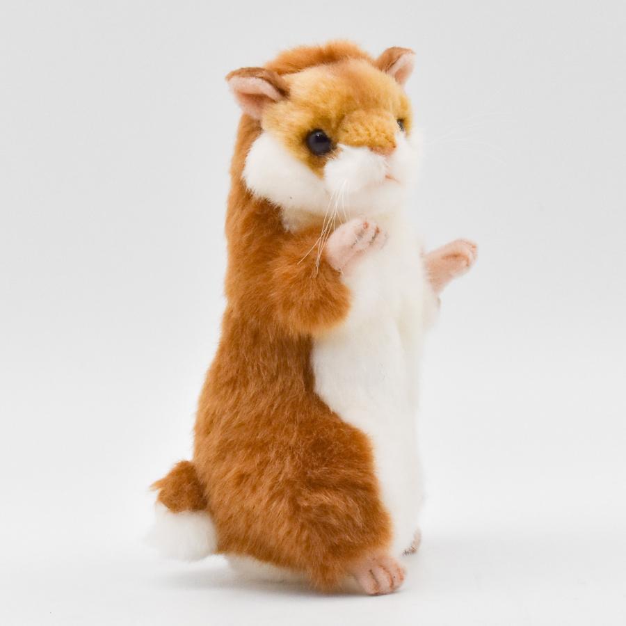 ハムスターパラダイス ぬいぐるみ 力士 もごもごはむすた〜 MGH01 ぬいぐるみ ごーるでんさん てのり