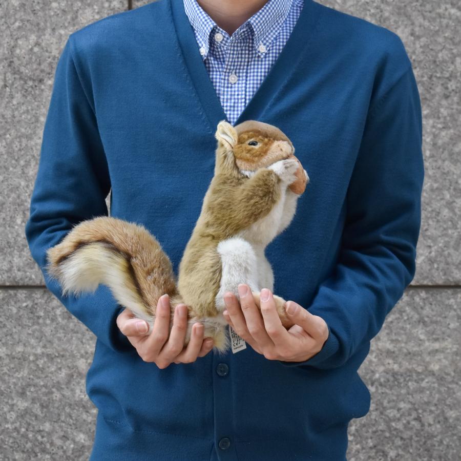 BH3745 アカリス HANSA　あかりす 栗鼠 ぬいぐるみ リアル | HANSA（ぬいぐるみ） | 07