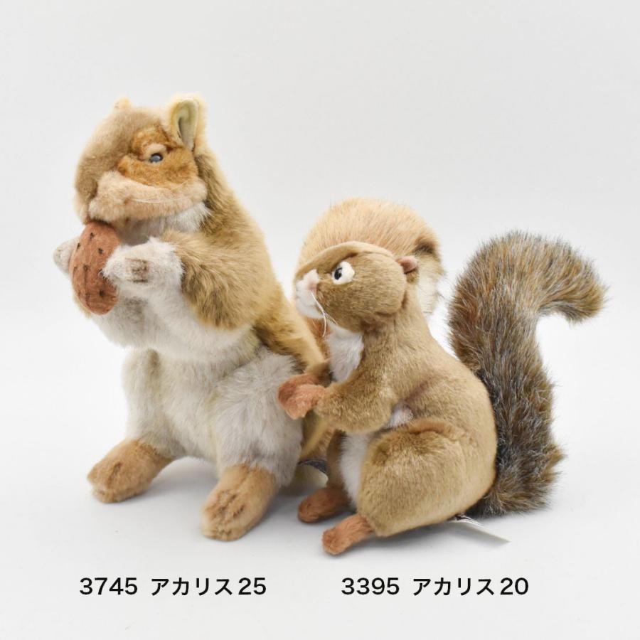 HANSA（ぬいぐるみ） BH3745 アカリス HANSA あかりす 栗鼠