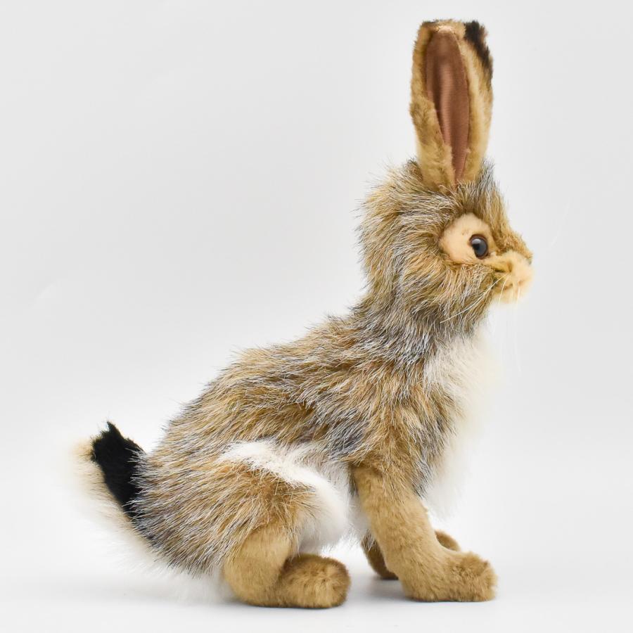 BH3754 オグロウサギ HANSA　おぐろうさぎ 兎 ぬいぐるみ リアル | HANSA（ぬいぐるみ） | 01