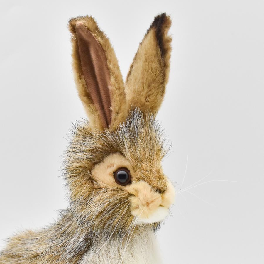 BH3754 オグロウサギ HANSA　おぐろうさぎ 兎 ぬいぐるみ リアル | HANSA（ぬいぐるみ） | 03