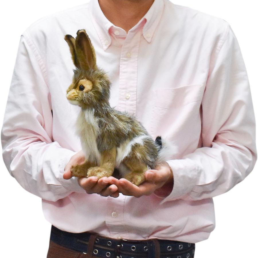 BH3754 オグロウサギ HANSA　おぐろうさぎ 兎 ぬいぐるみ リアル | HANSA（ぬいぐるみ） | 07