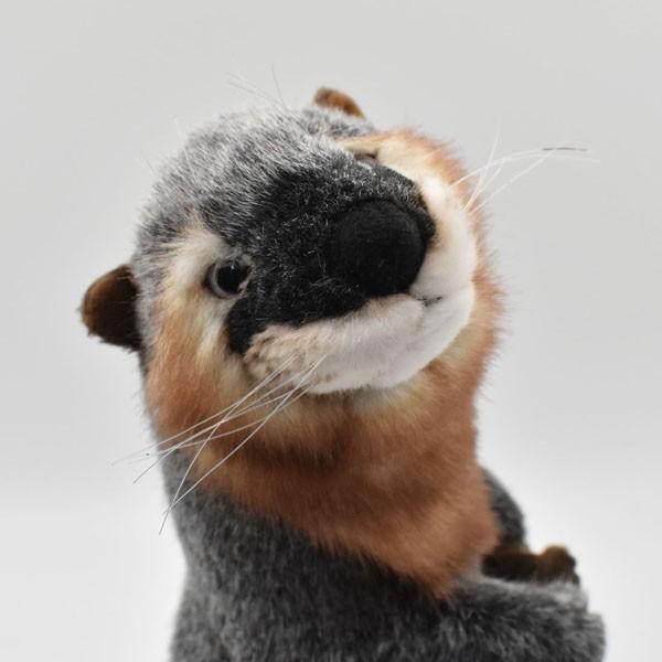 BH3814 カワウソ HANSA　獺 かわうそ ぬいぐるみ リアル | HANSA（ぬいぐるみ） | 03