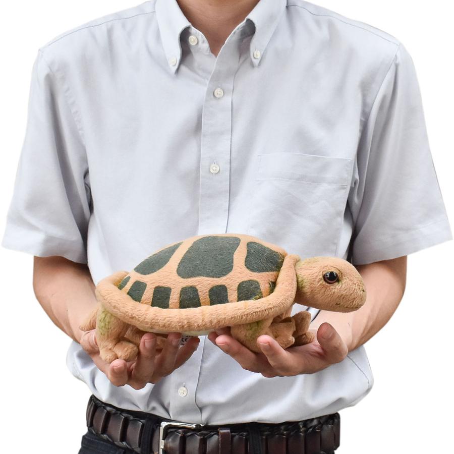 BH3816 カメ HANSA　かめ 亀 ぬいぐるみ リアル | HANSA（ぬいぐるみ） | 07