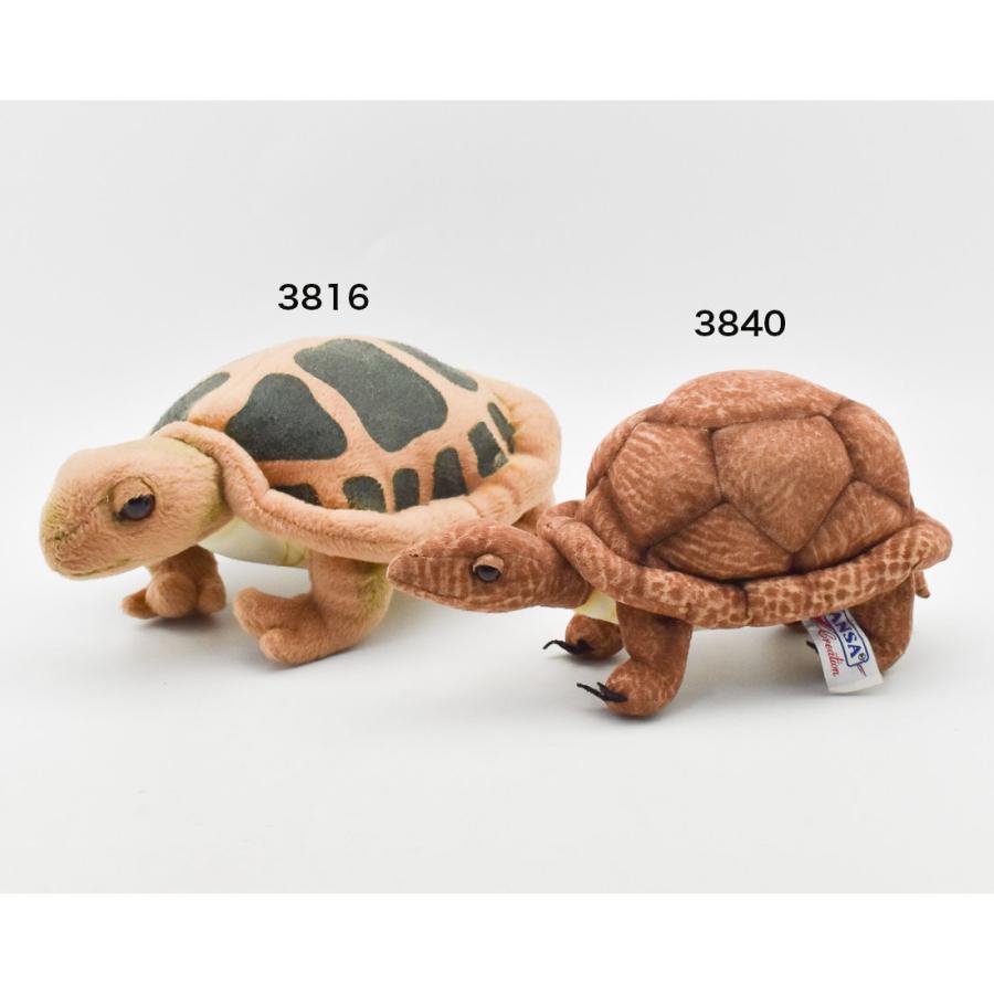 BH3816 カメ HANSA　かめ 亀 ぬいぐるみ リアル | HANSA（ぬいぐるみ） | 08