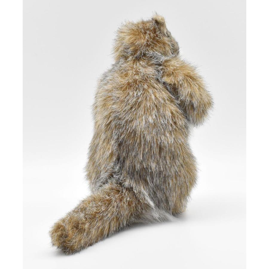 BH3830 マーモット HANSA　まーもっと ぬいぐるみ リアル | HANSA（ぬいぐるみ） | 02