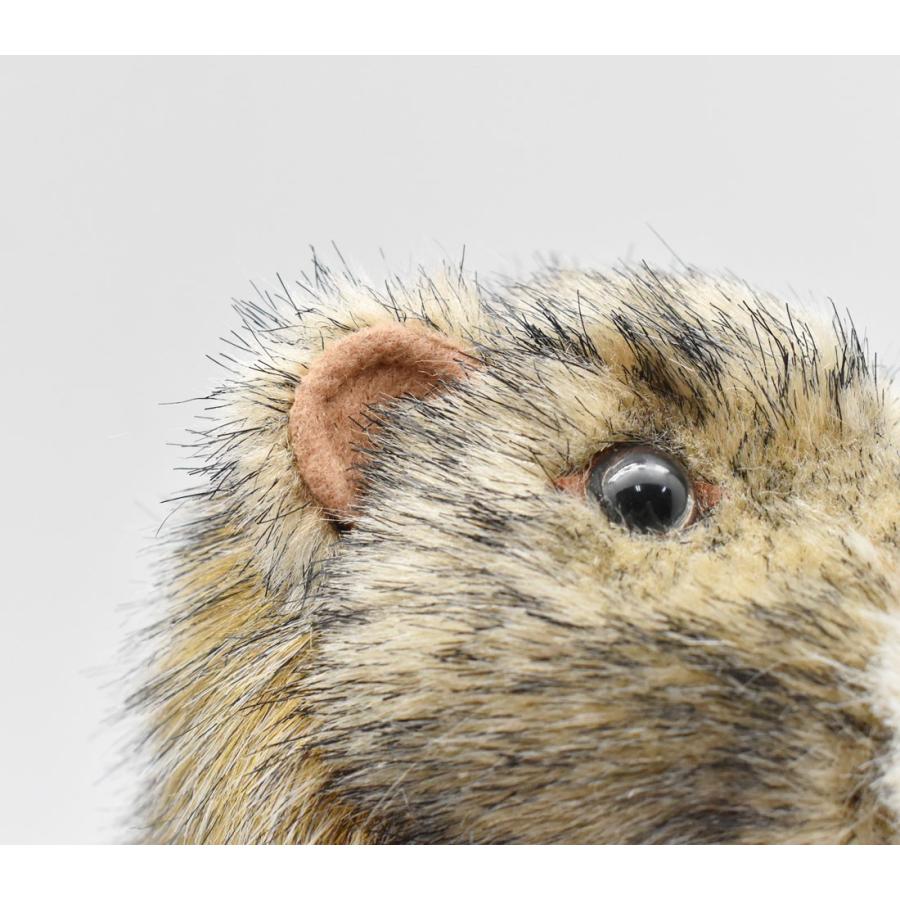 BH3830 マーモット HANSA　まーもっと ぬいぐるみ リアル | HANSA（ぬいぐるみ） | 05