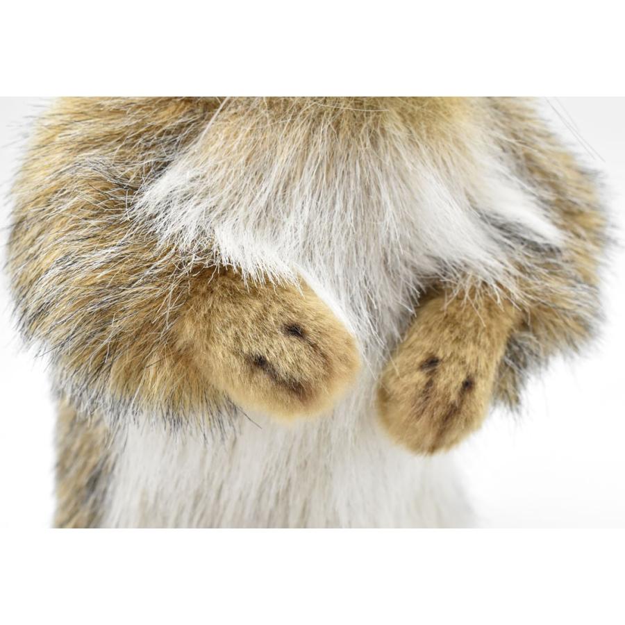 BH3830 マーモット HANSA　まーもっと ぬいぐるみ リアル | HANSA（ぬいぐるみ） | 06