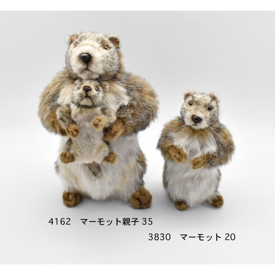 BH3830 マーモット HANSA　まーもっと ぬいぐるみ リアル | HANSA（ぬいぐるみ） | 07