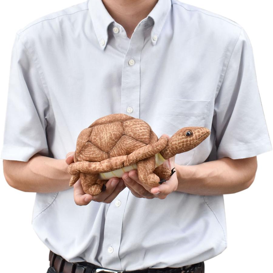 BH3840 カメ HANSA　かめ 亀 ぬいぐるみ リアル | HANSA（ぬいぐるみ） | 08