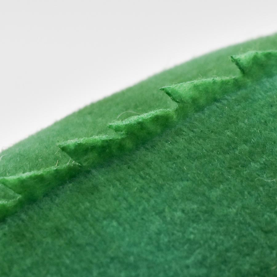 BH3848 トカゲ HANSA　とかげ ぬいぐるみ リアル | HANSA（ぬいぐるみ） | 06