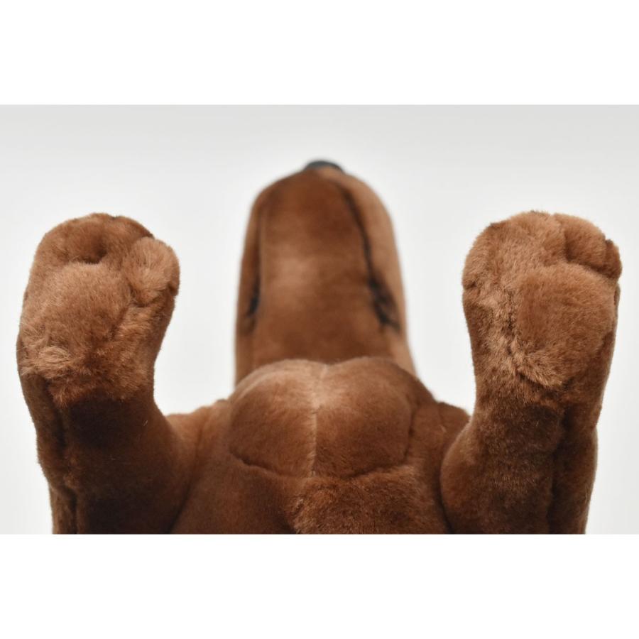 BH3876 ミニチュアダックスフンド HANSA　みにちゅあだっくすふんど いぬ イヌ 犬 ぬいぐるみ リアル | HANSA（ぬいぐるみ） | 05