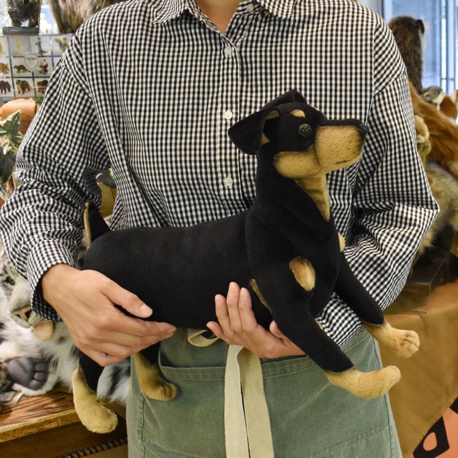 BH3877 ピンシャー HANSA　ぴんしゃー いぬ イヌ 犬 ぬいぐるみ リアル | HANSA（ぬいぐるみ） | 07