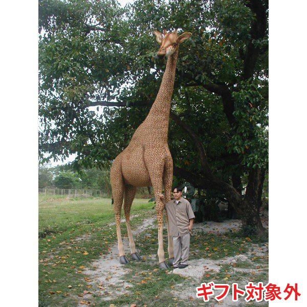 BH3884 キリン HANSA　きりん 麒麟 ぬいぐるみ リアル | HANSA（ぬいぐるみ）