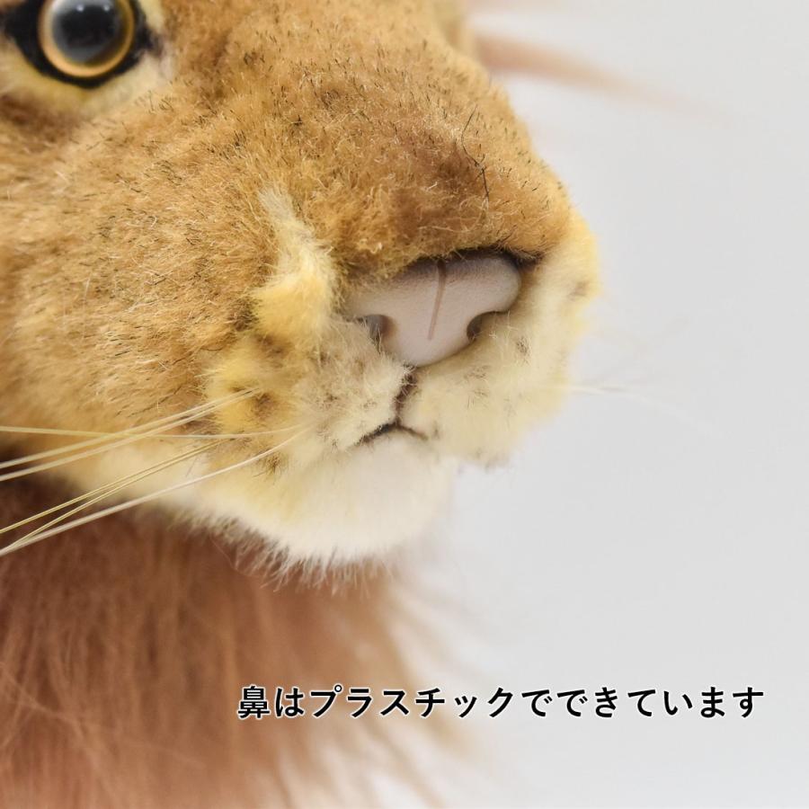 BH3937 ライオン オス HANSA　らいおん ぬいぐるみ リアル | HANSA（ぬいぐるみ） | 06