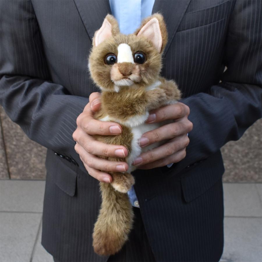 Hansa ハンサ メガネザル サル 3964 リアル 動物 ぬいぐるみ プレゼント ギフト 3964 Dear Bear 通販 Yahoo ショッピング