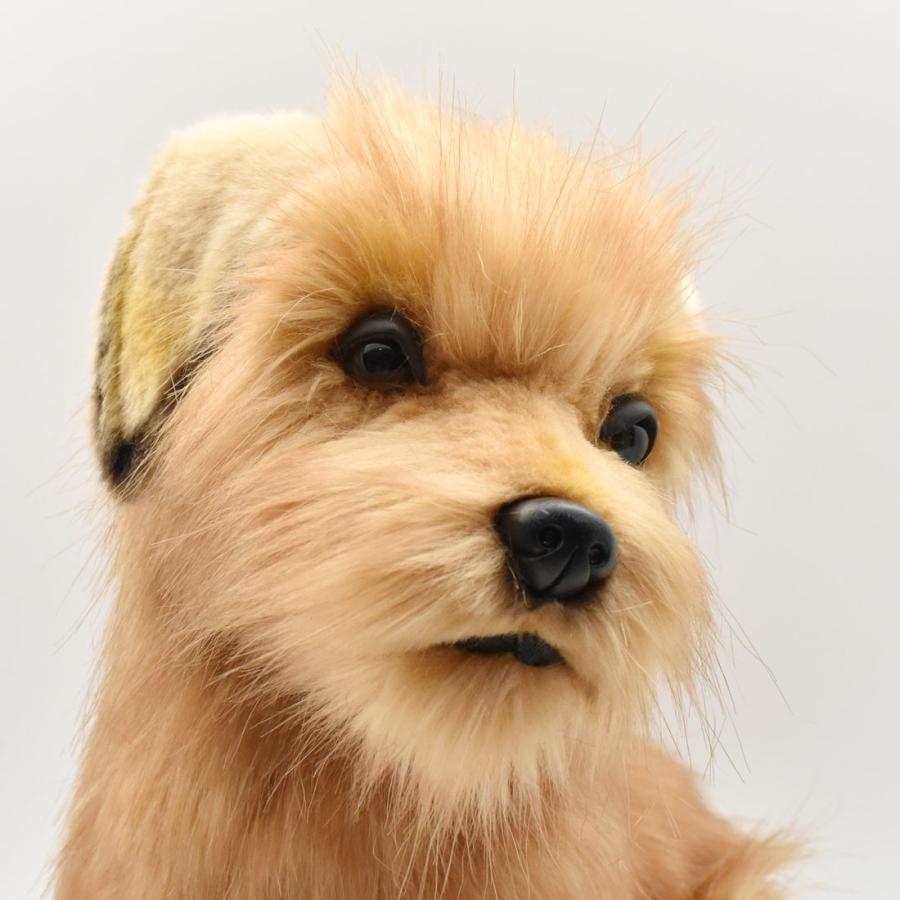 BH3996 ノーフォークテリア 仔 HANSA　のーふぉーくてりあ いぬ イヌ 犬 こども 子供 ぬいぐるみ リアル 爆買 母の日 | HANSA（ぬいぐるみ） | 03
