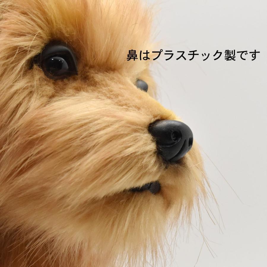 BH3996 ノーフォークテリア 仔 HANSA　のーふぉーくてりあ いぬ イヌ 犬 こども 子供 ぬいぐるみ リアル 爆買 母の日 | HANSA（ぬいぐるみ） | 06