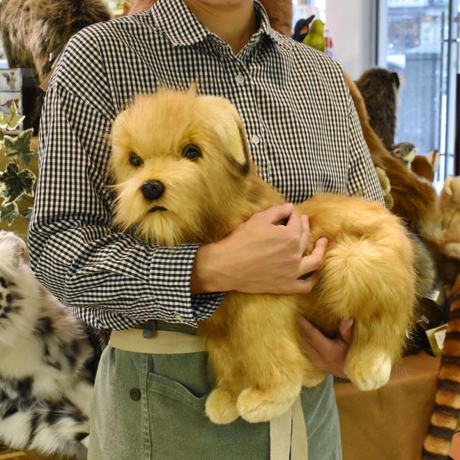 BH3996 ノーフォークテリア 仔 HANSA　のーふぉーくてりあ いぬ イヌ 犬 こども 子供 ぬいぐるみ リアル 爆買 母の日 | HANSA（ぬいぐるみ） | 07