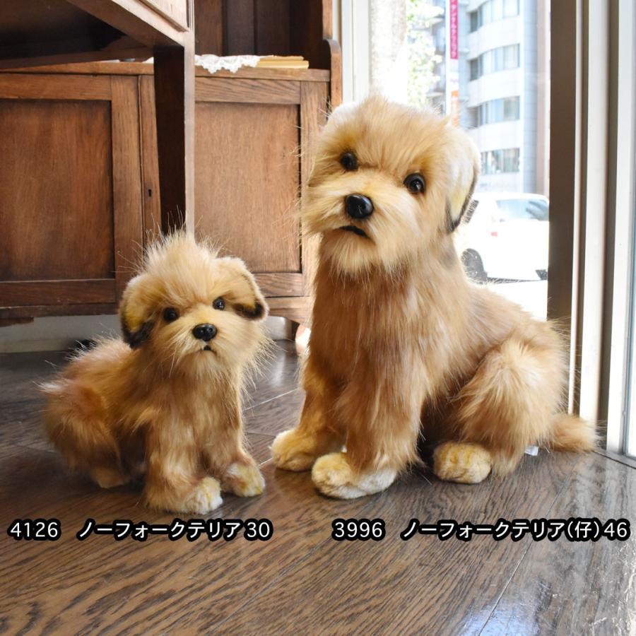 BH3996 ノーフォークテリア 仔 HANSA　のーふぉーくてりあ いぬ イヌ 犬 こども 子供 ぬいぐるみ リアル 爆買 母の日 | HANSA（ぬいぐるみ） | 08