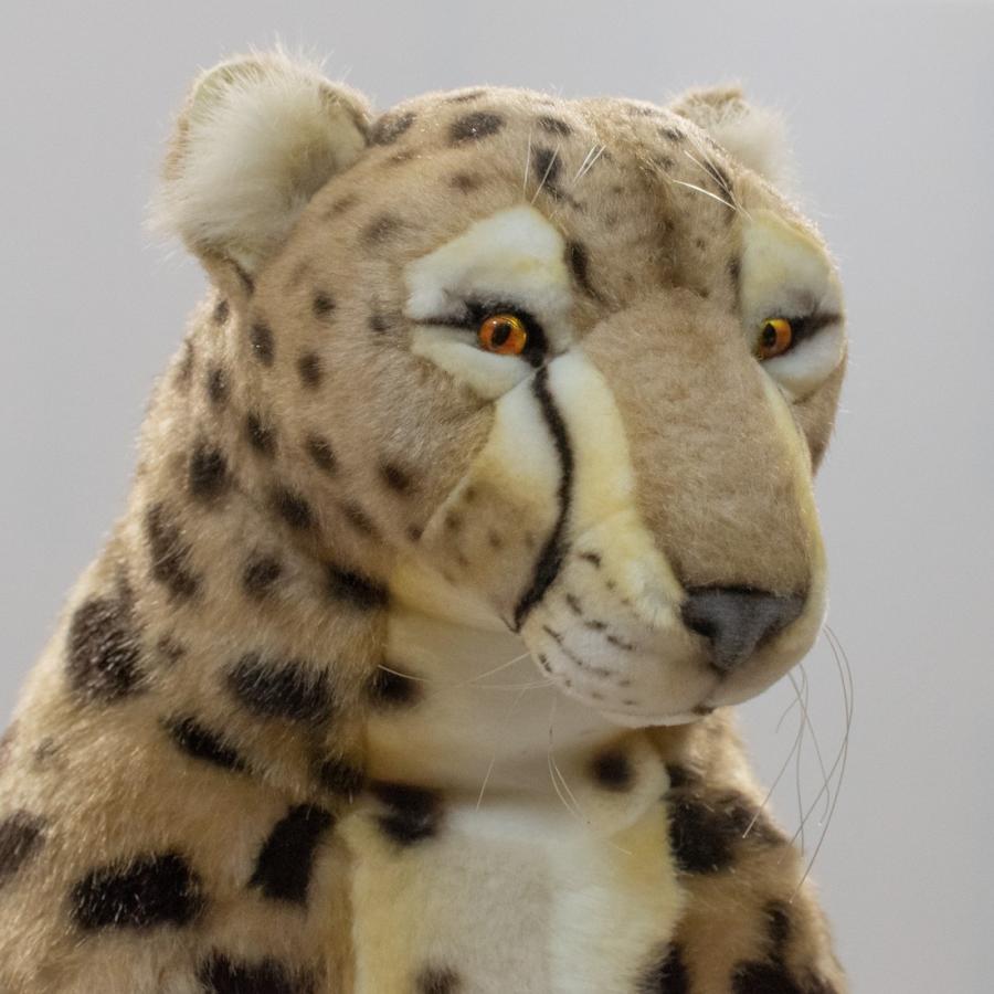 BH4016 チーター HANSA　ちーたー ぬいぐるみ リアル | HANSA（ぬいぐるみ） | 03