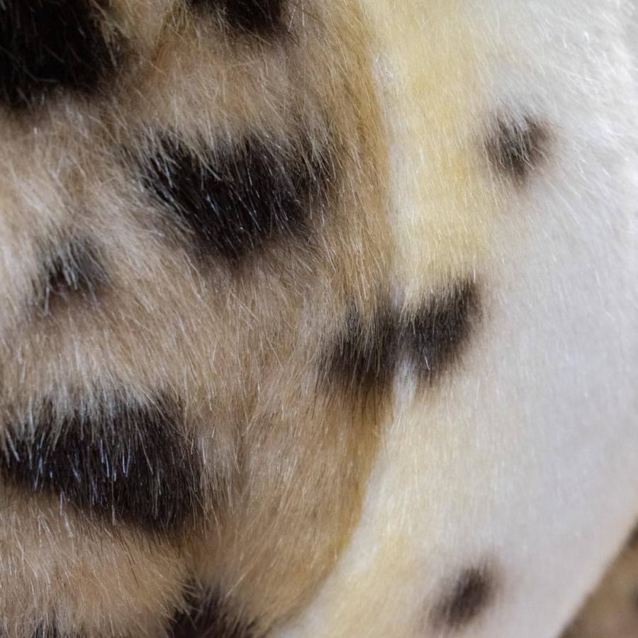 HANSA BH4016 チーター ちーたー ぬいぐるみ リアル : Dear Bear WEB