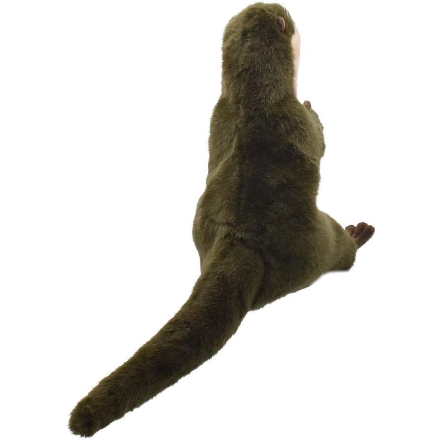 BH4031 カワウソ ハンドパペット HANSA　かわうそ 獺 リアル | HANSA（ぬいぐるみ） | 02