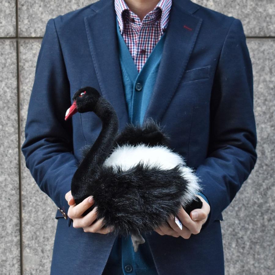 BH4086 コクチョウ HANSA　こくちょう 黒鳥 とり トリ 鳥 ぬいぐるみ リアル | HANSA（ぬいぐるみ） | 07