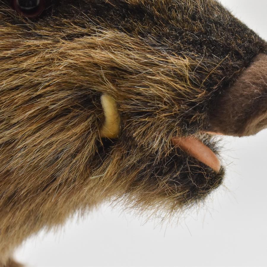 BH4092 イノシシ HANSA　いのしし 猪 ぬいぐるみ リアル | HANSA（ぬいぐるみ） | 06