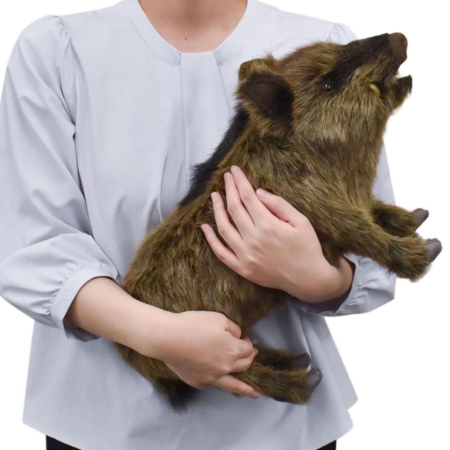 HANSA BH4092 イノシシ いのしし 猪 ぬいぐるみ リアル : Dear Bear