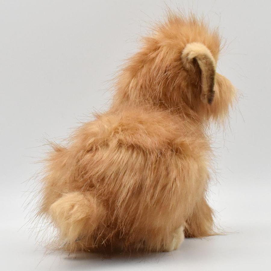 HANSA BH4126 ノーフォークテリア のーふぉーくてりあ いぬ イヌ 犬