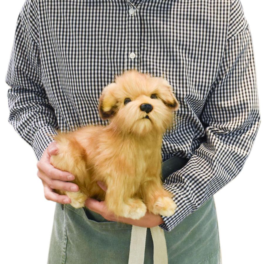 BH4126 ノーフォークテリア HANSA　のーふぉーくてりあ いぬ イヌ 犬 ぬいぐるみ リアル | HANSA（ぬいぐるみ） | 07