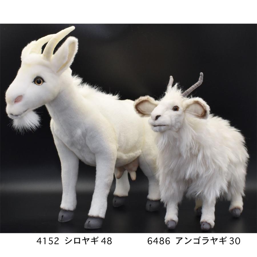 BH4152 シロヤギ HANSA　しろやぎ 白山羊 ぬいぐるみ リアル | HANSA（ぬいぐるみ） | 08
