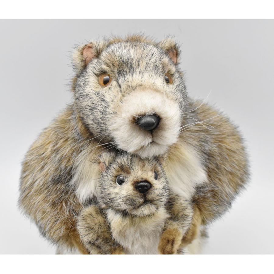 BH4162 マーモットオヤコ HANSA　まーもっとおやこ ぬいぐるみ リアル | HANSA（ぬいぐるみ） | 03