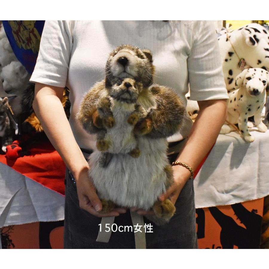 HANSA BH4162 マーモットオヤコ まーもっとおやこ ぬいぐるみ リアル