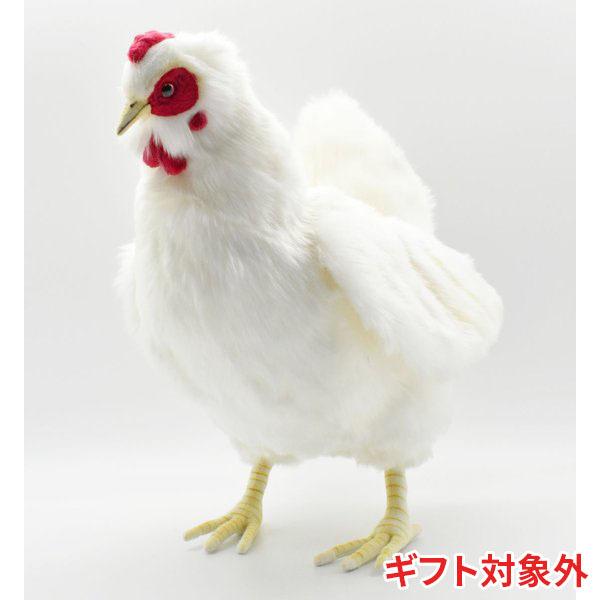 BH4172 シロメンドリ HANSA　しろめんどり 白雌鳥 ぬいぐるみ リアル | HANSA（ぬいぐるみ）