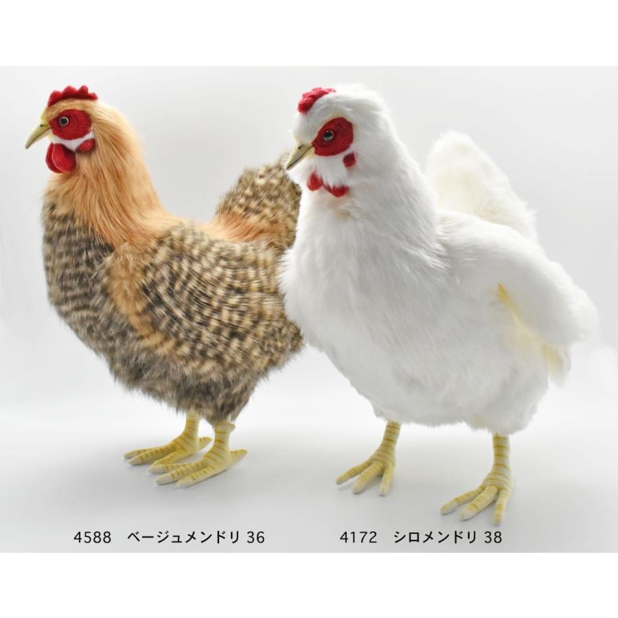 BH4172 シロメンドリ HANSA　しろめんどり 白雌鳥 ぬいぐるみ リアル | HANSA（ぬいぐるみ） | 07