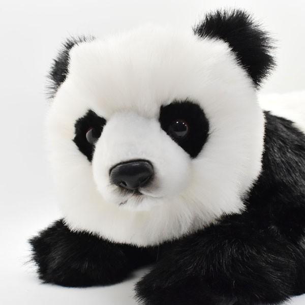 BH4182 ジャイアントパンダ 仔 HANSA　じゃいあんとぱんだ 大熊猫 こども 子供 ぬいぐるみ リアル | HANSA（ぬいぐるみ） | 03