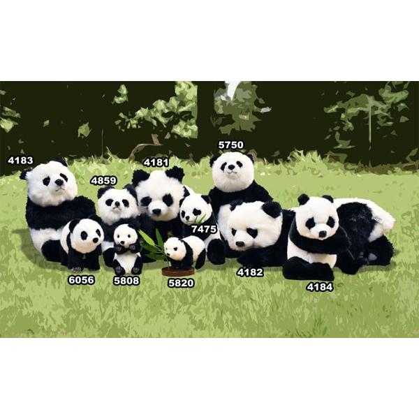 BH4182 ジャイアントパンダ 仔 HANSA　じゃいあんとぱんだ 大熊猫 こども 子供 ぬいぐるみ リアル | HANSA（ぬいぐるみ） | 08