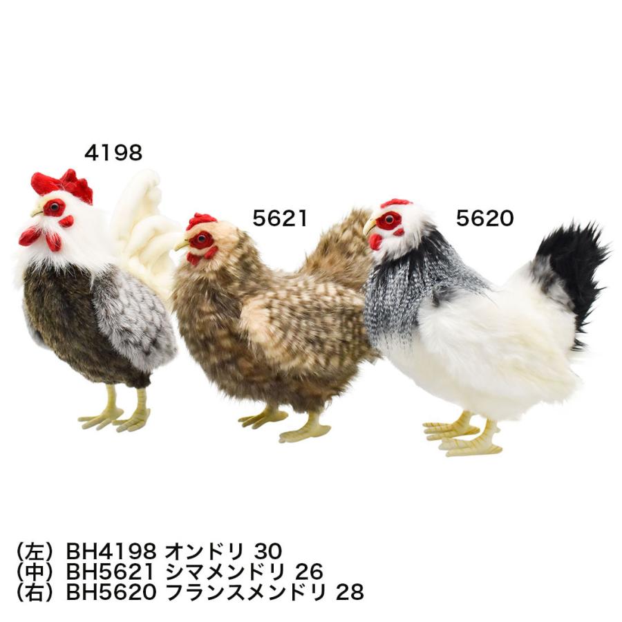 BH4198 オンドリ HANSA　おんどり 雄鳥 ぬいぐるみ リアル | HANSA（ぬいぐるみ） | 09