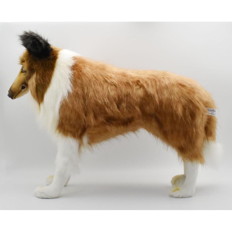 BH4219 シェトランドシープドッグ HANSA　しぇとらんどしーぷどっぐ いぬ イヌ 犬 ぬいぐるみ リアル | HANSA（ぬいぐるみ） | 01