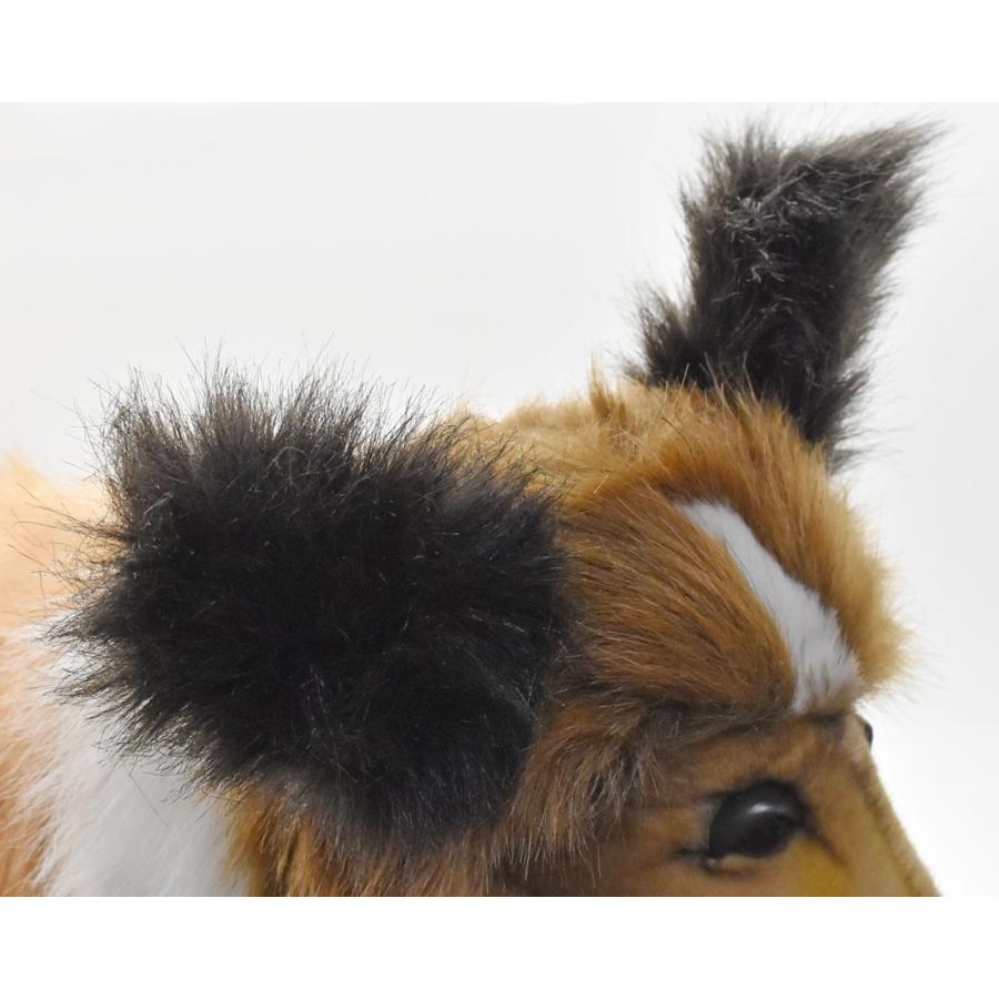 BH4219 シェトランドシープドッグ HANSA　しぇとらんどしーぷどっぐ いぬ イヌ 犬 ぬいぐるみ リアル | HANSA（ぬいぐるみ） | 05