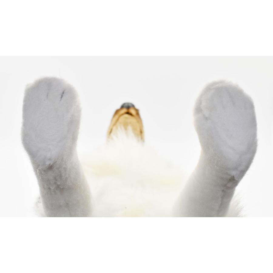 BH4219 シェトランドシープドッグ HANSA　しぇとらんどしーぷどっぐ いぬ イヌ 犬 ぬいぐるみ リアル | HANSA（ぬいぐるみ） | 06