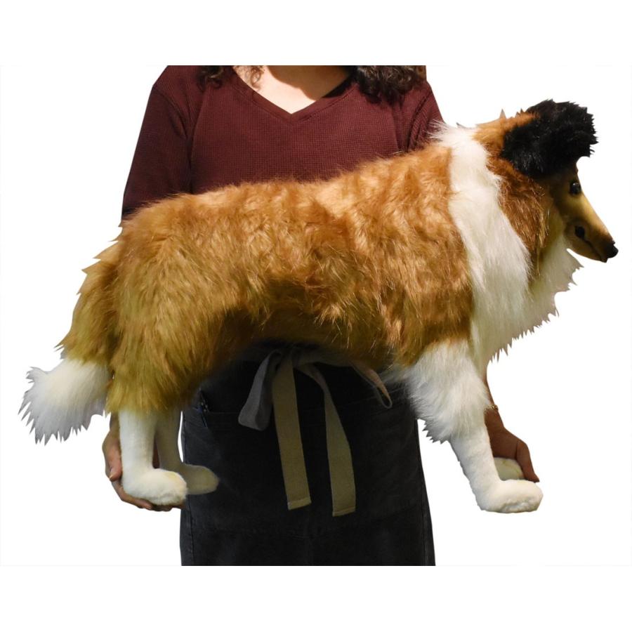 BH4219 シェトランドシープドッグ HANSA　しぇとらんどしーぷどっぐ いぬ イヌ 犬 ぬいぐるみ リアル | HANSA（ぬいぐるみ） | 07