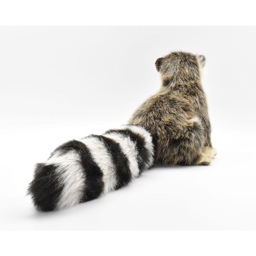 BH4248 アライグマ HANSA　あらいぐま くま ぬいぐるみ リアル | HANSA（ぬいぐるみ） | 02