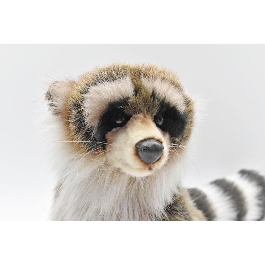 BH4248 アライグマ HANSA　あらいぐま くま ぬいぐるみ リアル | HANSA（ぬいぐるみ） | 03