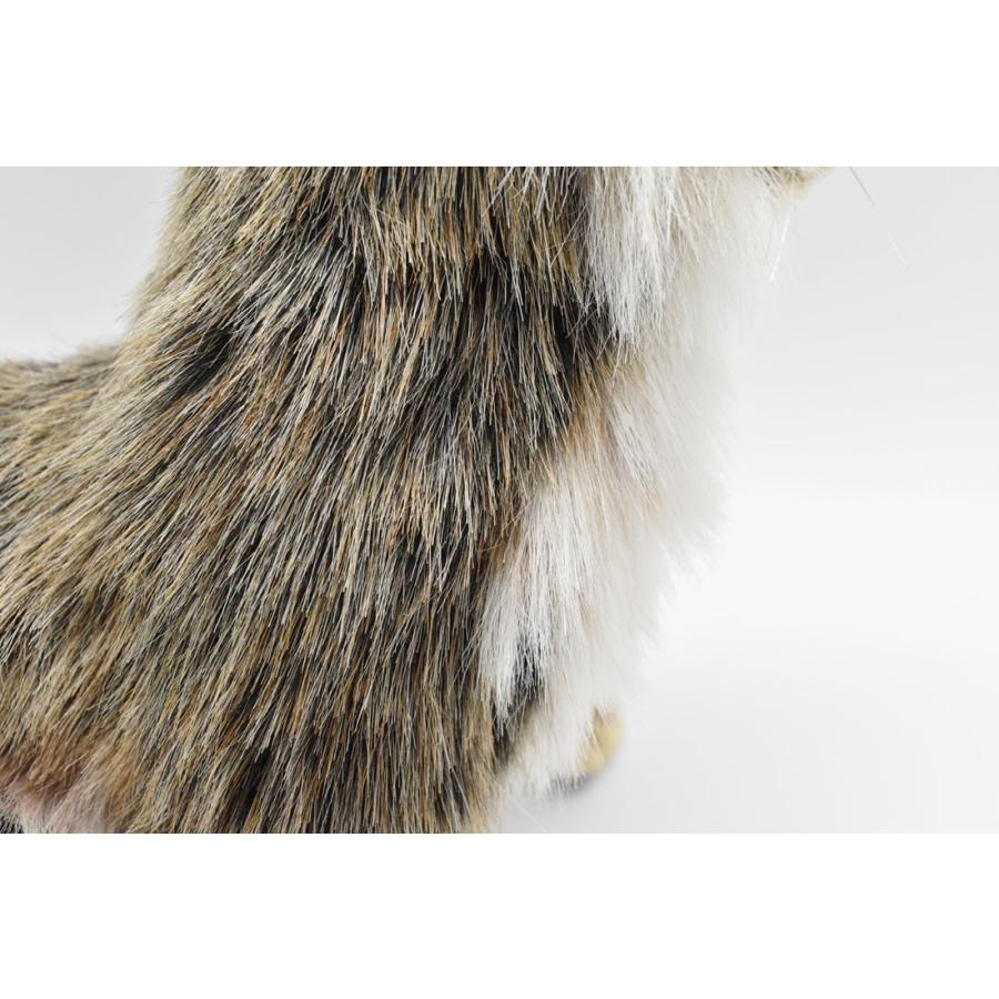 BH4248 アライグマ HANSA　あらいぐま くま ぬいぐるみ リアル | HANSA（ぬいぐるみ） | 04